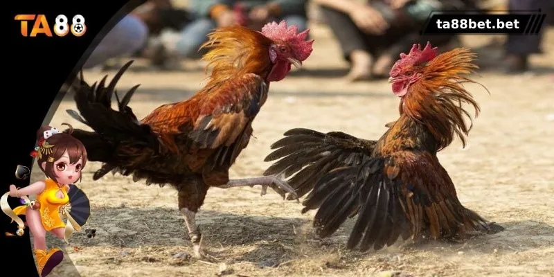 Những bí quyết cần biết để chiến thắng